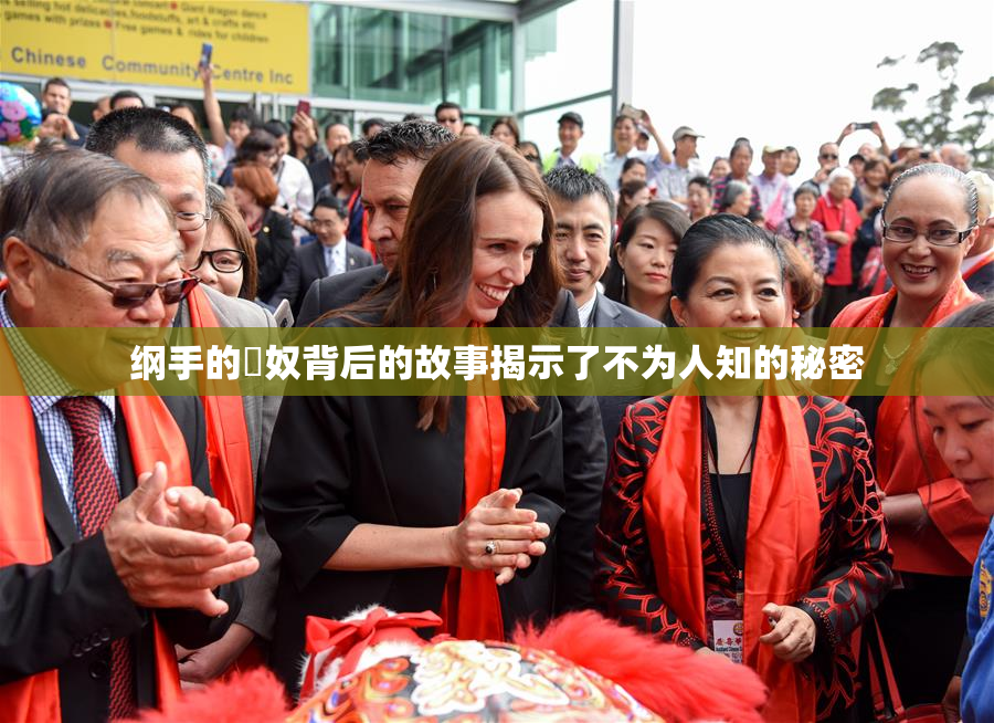 纲手的婬奴背后的故事揭示了不为人知的秘密