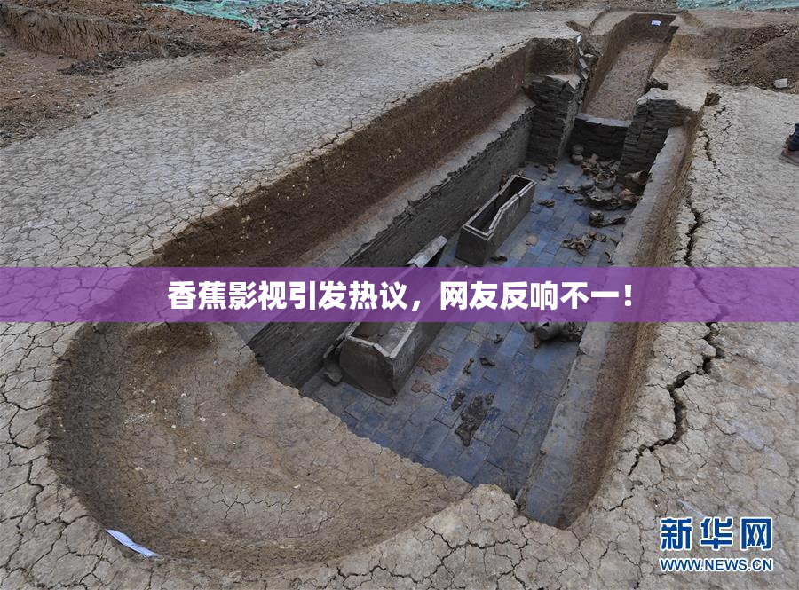 香蕉影视引发热议，网友反响不一！