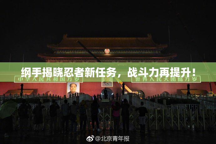 纲手揭晓忍者新任务，战斗力再提升！