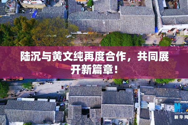 陆沉与黄文纯再度合作，共同展开新篇章！