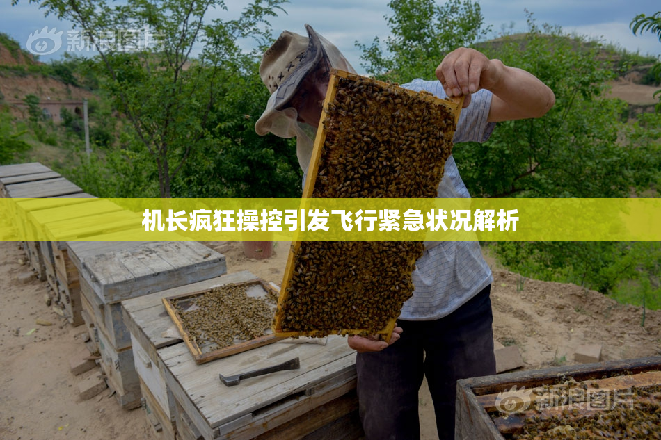 机长疯狂操控引发飞行紧急状况解析