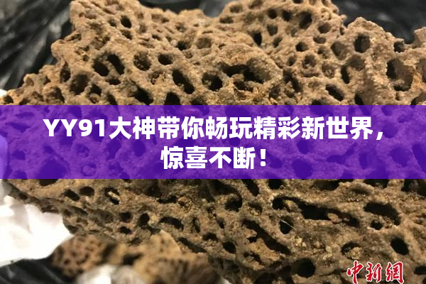 YY91大神带你畅玩精彩新世界，惊喜不断！