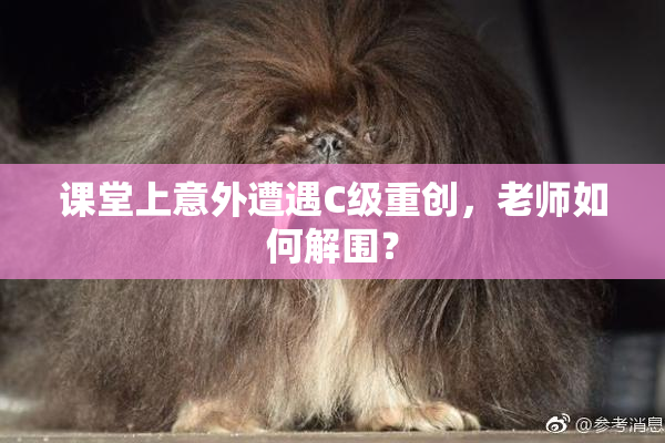 课堂上意外遭遇C级重创，老师如何解围？
