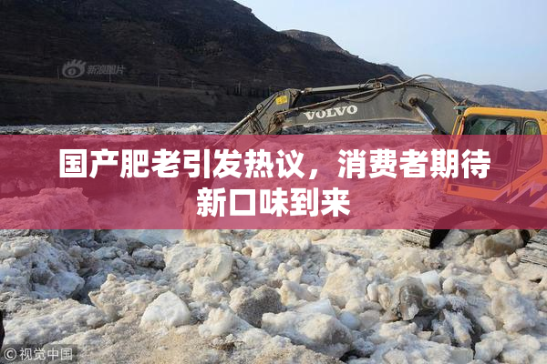 国产肥老引发热议，消费者期待新口味到来