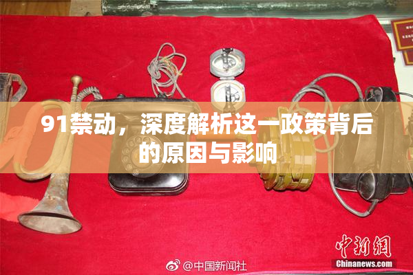 91禁动，深度解析这一政策背后的原因与影响