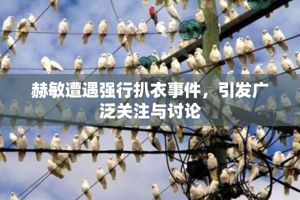 赫敏遭遇强行扒衣事件，引发广泛关注与讨论