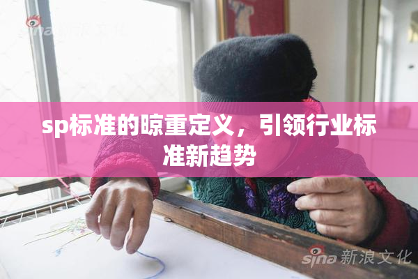 sp标准的晾重定义，引领行业标准新趋势