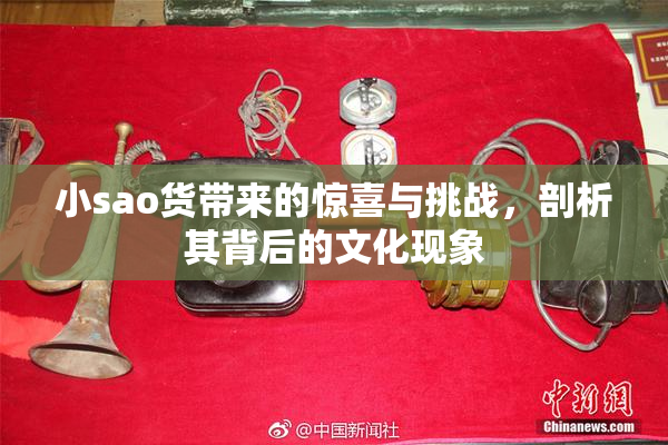小sao货带来的惊喜与挑战，剖析其背后的文化现象
