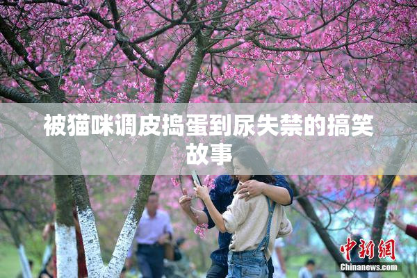 被猫咪调皮捣蛋到尿失禁的搞笑故事