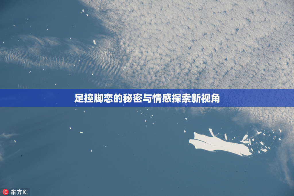 足控脚恋的秘密与情感探索新视角
