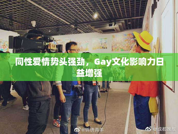 同性爱情势头强劲，Gay文化影响力日益增强