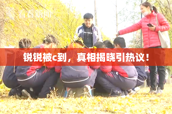 锐锐被c到，真相揭晓引热议！