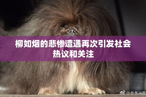 柳如烟的悲惨遭遇再次引发社会热议和关注