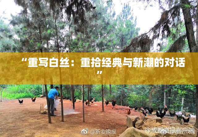 “重写白丝：重拾经典与新潮的对话”