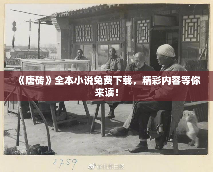 《唐砖》全本小说免费下载，精彩内容等你来读！