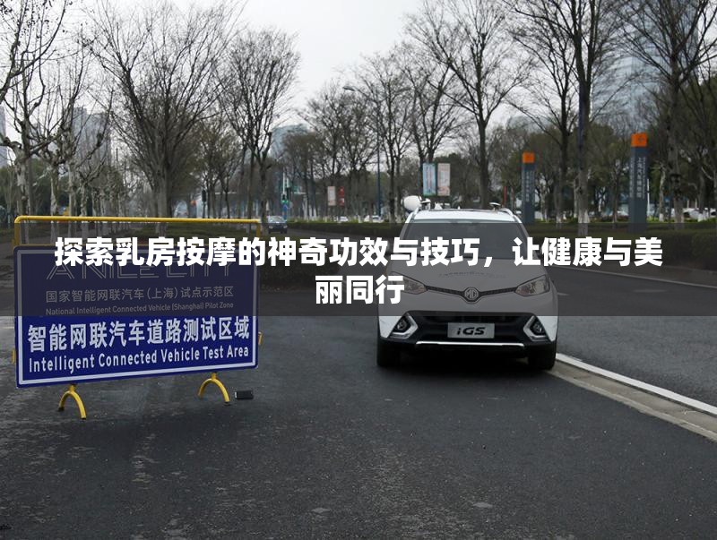 探索乳房按摩的神奇功效与技巧，让健康与美丽同行