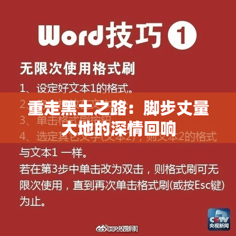 重走黑土之路：脚步丈量大地的深情回响