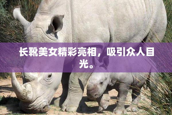 长靴美女精彩亮相，吸引众人目光。