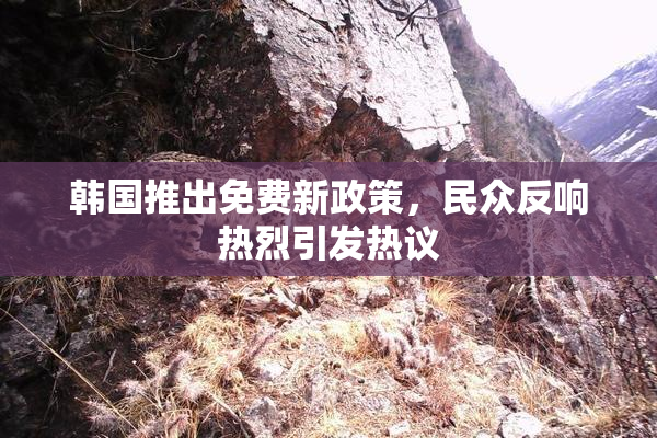 韩国推出免费新政策，民众反响热烈引发热议