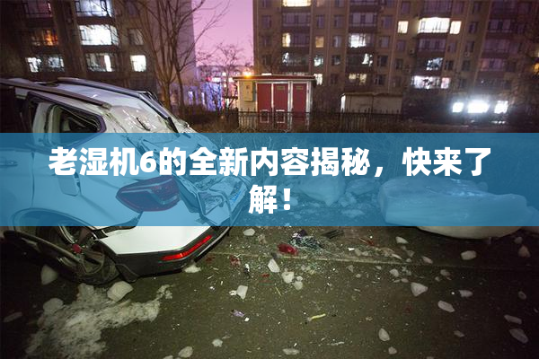 老湿机6的全新内容揭秘，快来了解！
