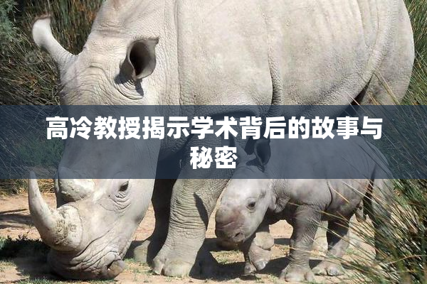 高冷教授揭示学术背后的故事与秘密