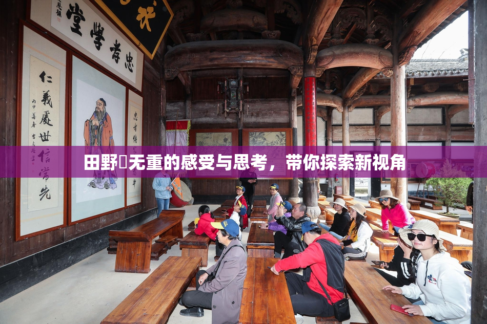 田野憂无重的感受与思考，带你探索新视角