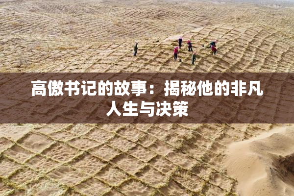 高傲书记的故事：揭秘他的非凡人生与决策