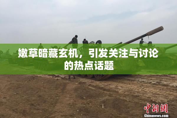 嫩草暗藏玄机，引发关注与讨论的热点话题