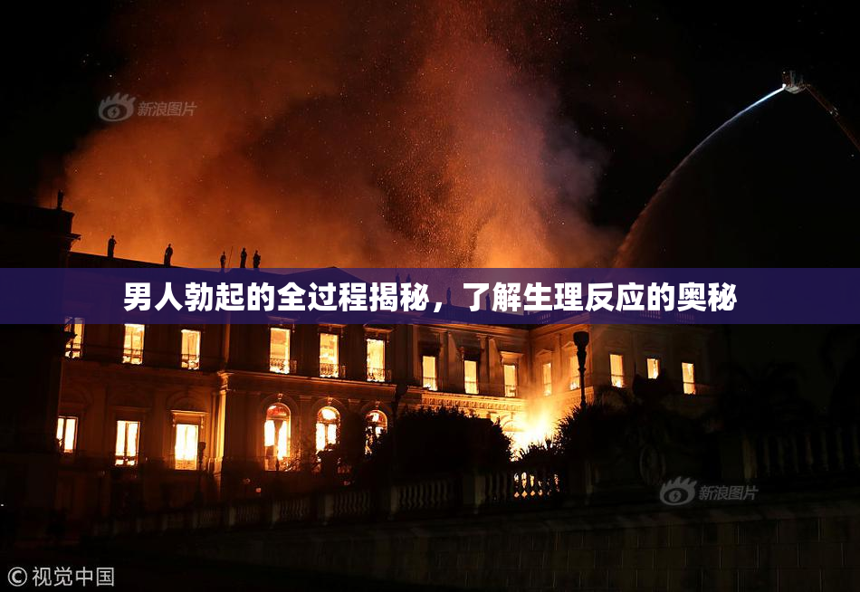 男人勃起的全过程揭秘，了解生理反应的奥秘