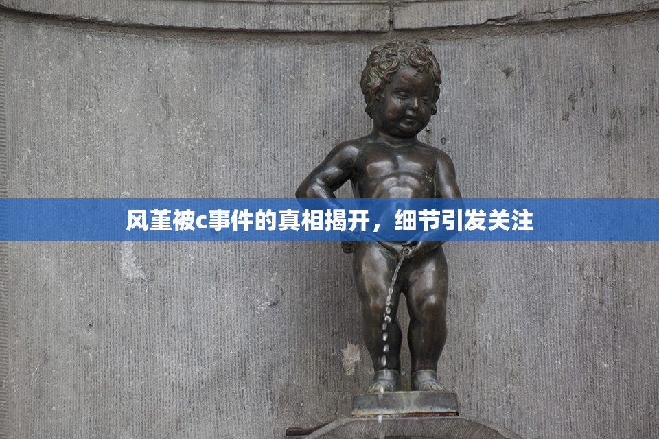 风堇被c事件的真相揭开，细节引发关注