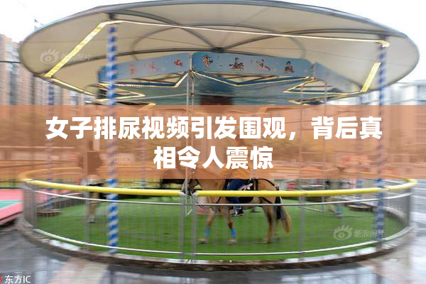 女子排尿视频引发围观，背后真相令人震惊