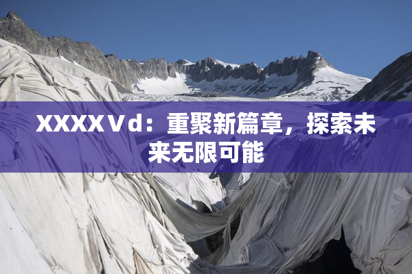 XXXXⅤd：重聚新篇章，探索未来无限可能
