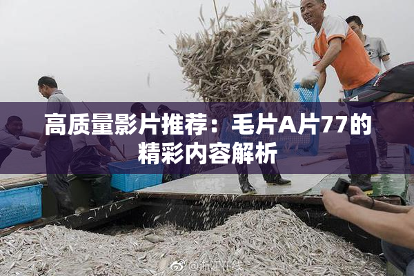 高质量影片推荐：毛片A片77的精彩内容解析