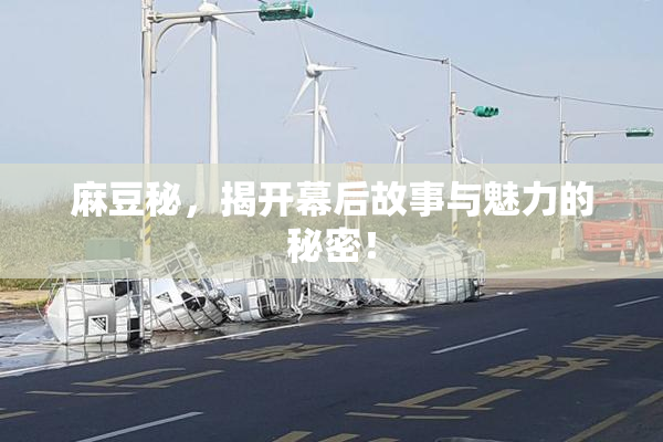 麻豆秘，揭开幕后故事与魅力的秘密！