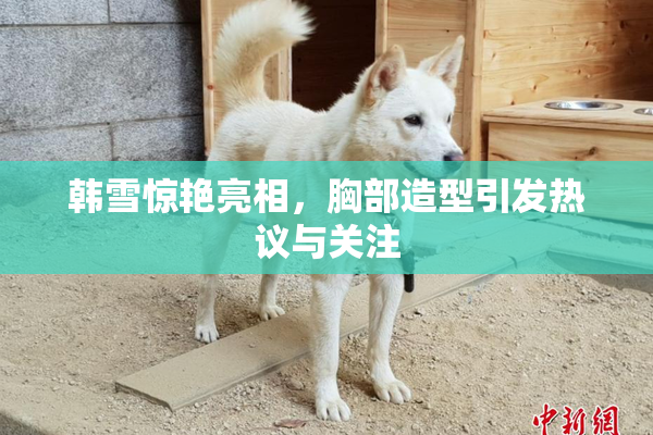 韩雪惊艳亮相，胸部造型引发热议与关注