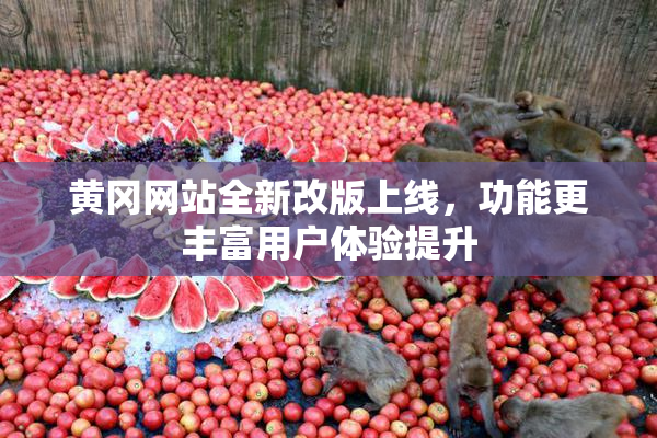 黄冈网站全新改版上线，功能更丰富用户体验提升