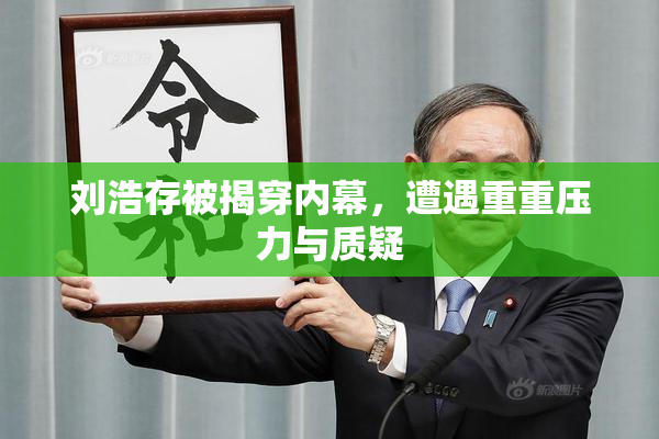 刘浩存被揭穿内幕，遭遇重重压力与质疑