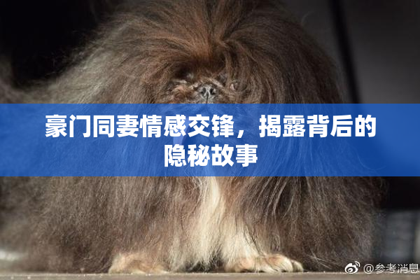 豪门同妻情感交锋，揭露背后的隐秘故事