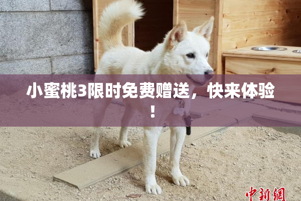 小蜜桃3限时免费赠送，快来体验！