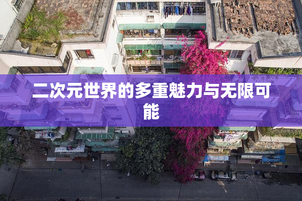 二次元世界的多重魅力与无限可能