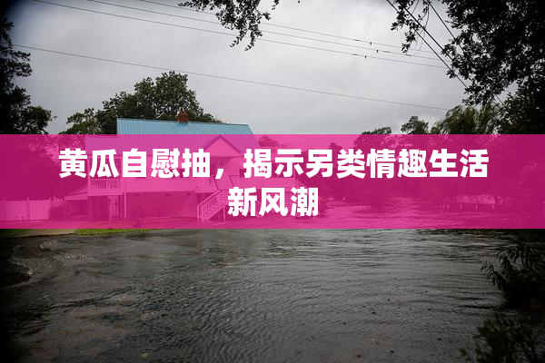 黄瓜自慰抽，揭示另类情趣生活新风潮