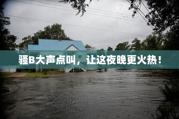 骚B大声点叫，让这夜晚更火热！