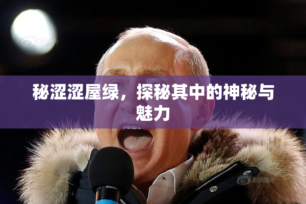秘涩涩屋绿，探秘其中的神秘与魅力