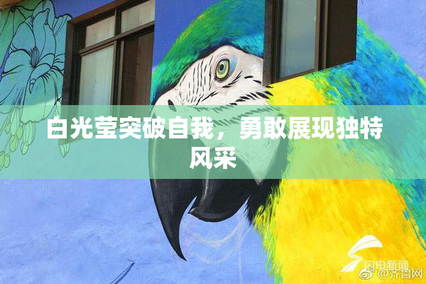 白光莹突破自我，勇敢展现独特风采