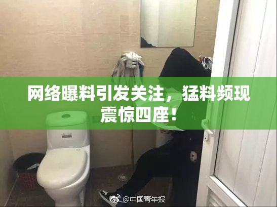 网络曝料引发关注，猛料频现震惊四座！
