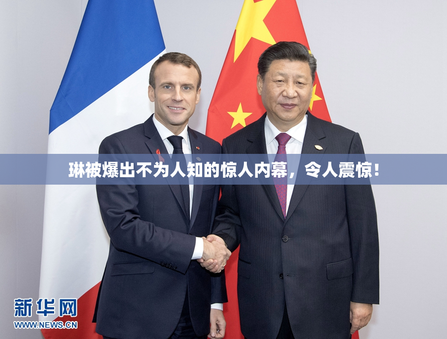 琳被爆出不为人知的惊人内幕，令人震惊！