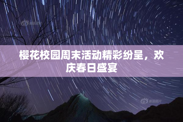 樱花校园周末活动精彩纷呈，欢庆春日盛宴