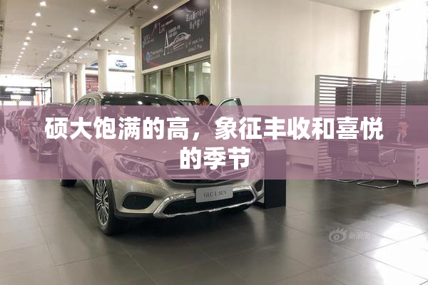 硕大饱满的高，象征丰收和喜悦的季节