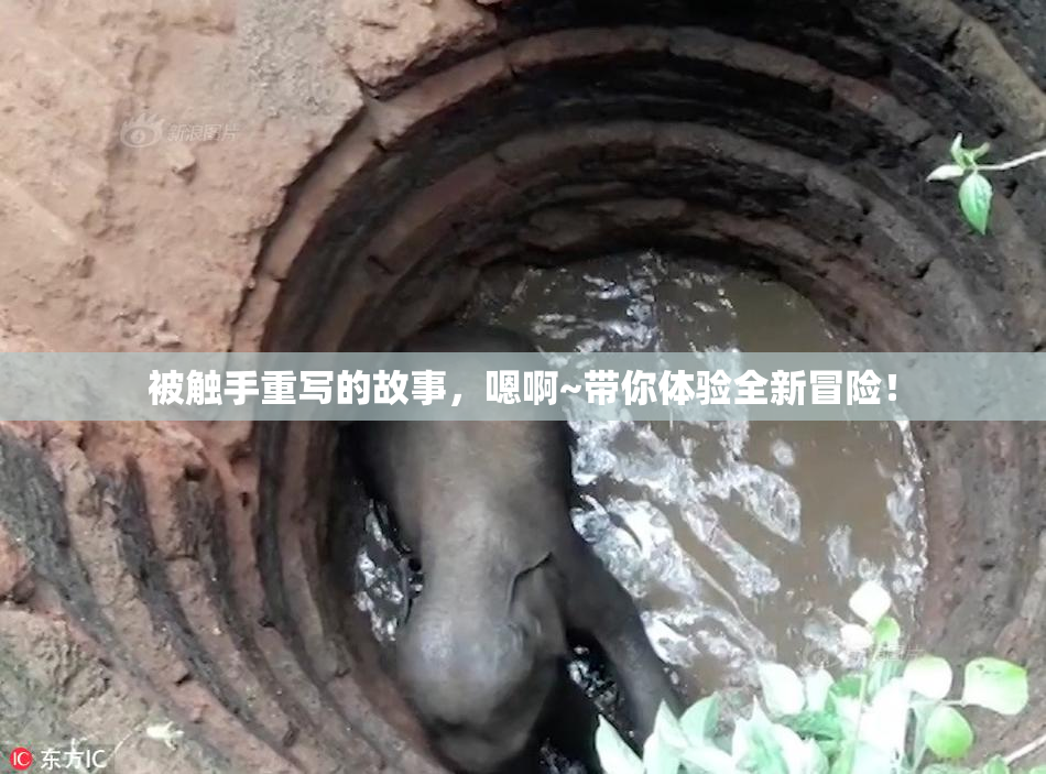 被触手重写的故事，嗯啊~带你体验全新冒险！