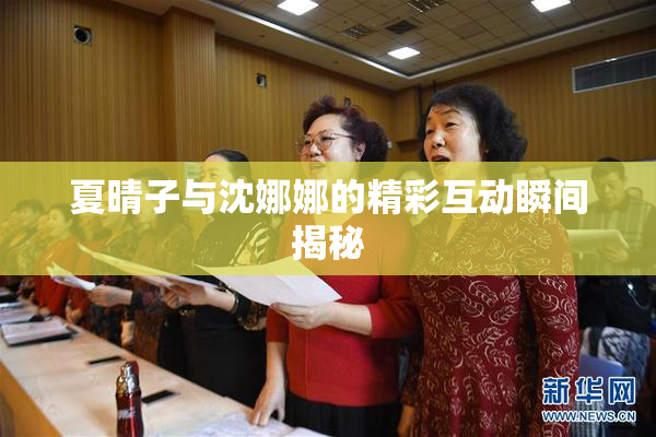 夏晴子与沈娜娜的精彩互动瞬间揭秘